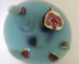 Célula comestible 06.jpg