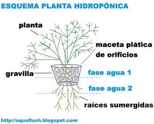 Esquema planta hidroponica.jpg