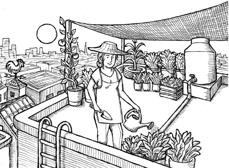 Archivo:Huerto en la azotea.png