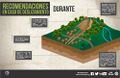 Miniatura de la versión del 13:17 14 ene 2020