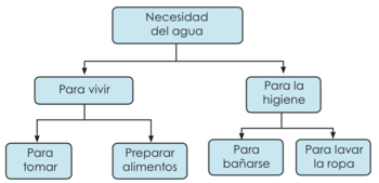 Mapa conceptual de necesidad del agua.png