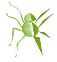 Serie Kemon Ch'abäl Primer Grado p(114.4).png