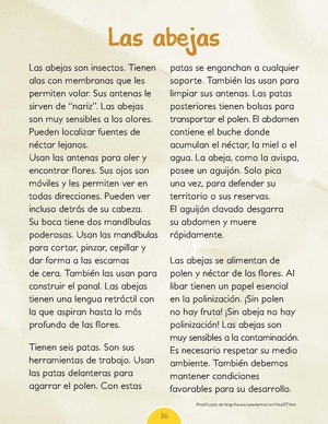 Las abejas - original.pdf