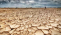 Efectos del cambio climático 3.png