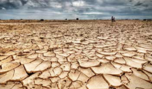 Efectos del cambio climático 3.png