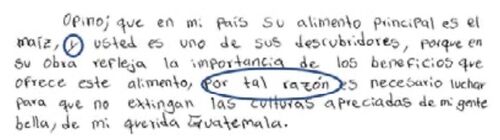 Opino que en mi país su alimento principal es el maíz - conjunciones