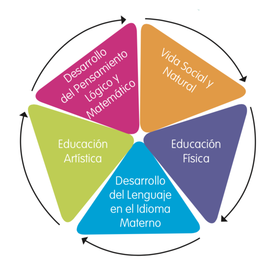 Estructura curricular