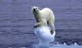 Efectos del cambio climático 2.png