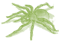 Serie Kemon Ch'abäl Tercer Grado p(213).png