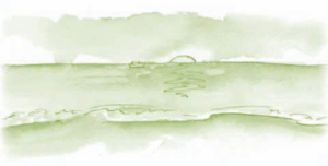 Serie Kemon Ch'abäl Segundo Grado p(360.1).png
