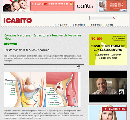 Estructura y función de los seres vivos - carátula.png
